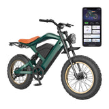 Flyingfish H1 Ebike