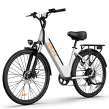 Flyingfish E7 Ebike