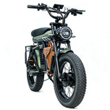 Flyingfish H2 Pro Ebike