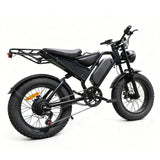 Flyingfish DK400 Ebike