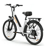 Flyingfish E7 Ebike