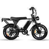 Flyingfish V8 Ebike