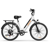 Flyingfish E7 Ebike
