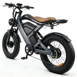 Flyingfish H1 Pro Ebike