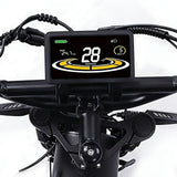 Flyingfish H2 Pro Ebike