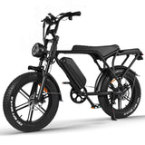 Flyingfish V8 Ebike
