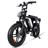 Flyingfish V8 Ebike