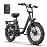 Flyingfish E6 Ebike
