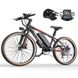 Flyingfish G26 Ebike
