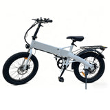 Flyingfish A2 Ebike