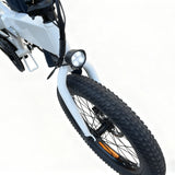 Flyingfish A2 Ebike
