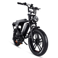 V8 FATBIKE （EU Version）